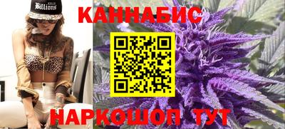 МДПВ Пенза