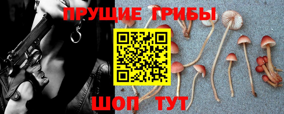 Псилоцибиновые грибы GOLDEN TEACHER Трёхгорный